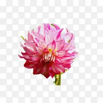 ˮ�� ���� ʪī-������