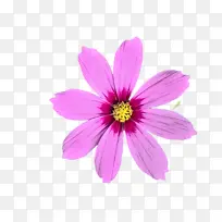 水彩 颜料 湿墨-空若网 水彩 颜料 湿墨-空若网