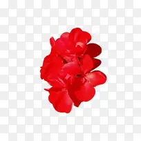 水彩 颜料 湿墨-空若网 水彩 颜料 湿墨-空若网