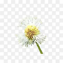 Ë®²Ê» ÑÕÁÏ ÊªÄ«-¿ÕÈôÍø Ë®²Ê» ÑÕÁÏ ÊªÄ«-¿ÕÈôÍø