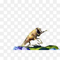 水彩画 油漆 湿墨水-空若网 水彩画 油漆 湿墨水-空若网