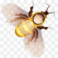 ��ͨ ���� �۷�-������