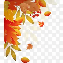 叶子 橙色 黄色-空若网 叶子 橙色 黄色-空若网