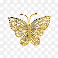 采购产品蝴蝶 飞蛾和蝴蝶 昆虫-空若网 采购产品蝴蝶 飞蛾和蝴蝶 昆虫-空若网