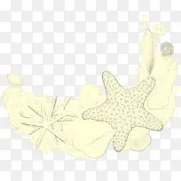 白色 黄色 叶子-空若网 白色 黄色 叶子-空若网