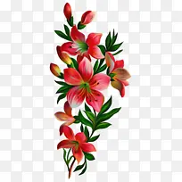 ���� ����ֲ�� ����-������