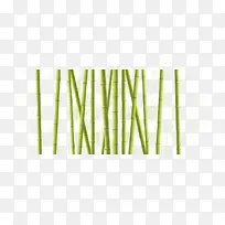 绿色 植物 草-空若网 绿色 植物 草-空若网