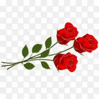 水彩 油漆 湿墨-空若网 水彩 油漆 湿墨-空若网