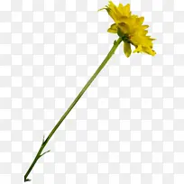 ˮ�� ���� ʪī-������