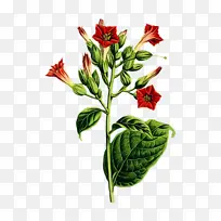 ˮ�ʻ� ���� ʪī-������