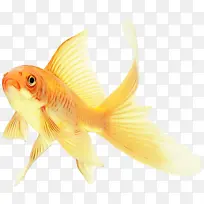 水彩画 颜料 湿墨-空若网 水彩画 颜料 湿墨-空若网