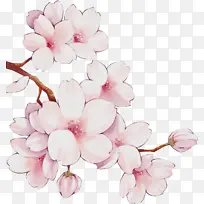 水彩 颜料 湿墨-空若网 水彩 颜料 湿墨-空若网