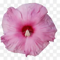 Ë®²Ê ÑÕÁÏ ÊªÄ«-¿ÕÈôÍø Ë®²Ê ÑÕÁÏ ÊªÄ«-¿ÕÈôÍø