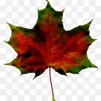 水彩 油漆 湿墨-空若网 水彩 油漆 湿墨-空若网