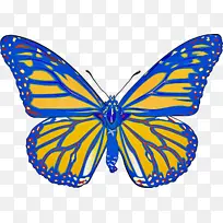 �ɶ�ͺ��� ���� ����-������