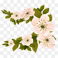 �� ���� ֲ��-������