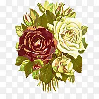 采购产品花 玫瑰 花园玫瑰-空若网 采购产品花 玫瑰 花园玫瑰-空若网