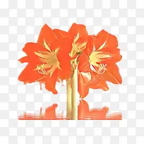 ��ͨ ���� ����ֲ��-������