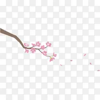 粉色 樱花 树枝-空若网 粉色 樱花 树枝-空若网