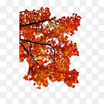 ˮ�ʻ� ���� ʪī-������