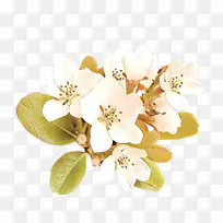 ��ͨ �� ����-������