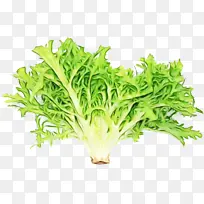 ˮ�� ���� ʪī-������