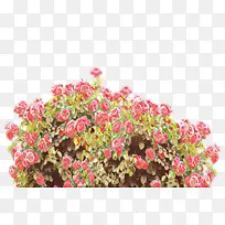 卡通 花卉 粉色-空若网 卡通 花卉 粉色-空若网