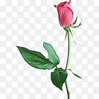 水彩画 颜料 湿墨-空若网 水彩画 颜料 湿墨-空若网