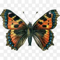 水彩画 颜料 湿墨水-空若网 水彩画 颜料 湿墨水-空若网