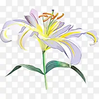 水彩 颜料 湿墨-空若网 水彩 颜料 湿墨-空若网