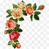 ˮ�� ���� ʪī-������