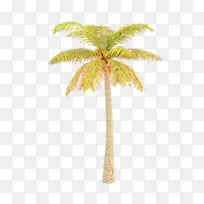 卡通 树 棕榈树-空若网 卡通 树 棕榈树-空若网