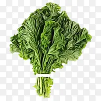 水彩画 油漆 湿墨-空若网 水彩画 油漆 湿墨-空若网