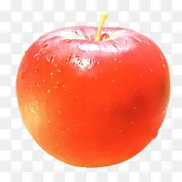 ��ͨ ��ȻʳƷ ˮ��-������