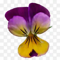 水彩画 颜料 湿墨-空若网 水彩画 颜料 湿墨-空若网