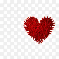 郁金香 花朵 切花-空若网 郁金香 花朵 切花-空若网