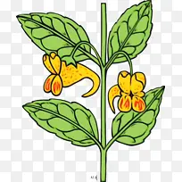 水彩画 颜料 湿墨-空若网 水彩画 颜料 湿墨-空若网