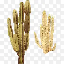 卡通 植物 草科-空若网 卡通 植物 草科-空若网