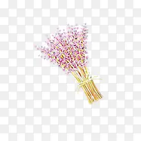 ¿¨Í¨ Þ¹ÒÂ²Ý ·ÛÉ«-¿ÕÈôÍø ¿¨Í¨ Þ¹ÒÂ²Ý ·ÛÉ«-¿ÕÈôÍø