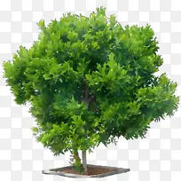 水彩画 油漆 湿墨-空若网 水彩画 油漆 湿墨-空若网