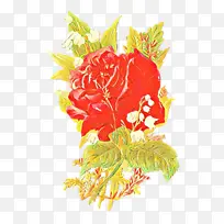 卡通 花卉 植物-空若网 卡通 花卉 植物-空若网