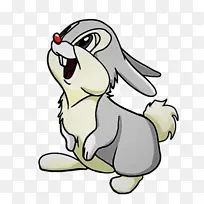 ��ͨ ���� β��-������