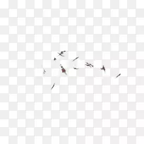 ����Ǩ�����������-�˺�-������