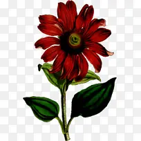 水彩 颜料 湿墨-空若网 水彩 颜料 湿墨-空若网