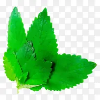 Ë®²Ê» ÑÕÁÏ ÊªÄ«-¿ÕÈôÍø Ë®²Ê» ÑÕÁÏ ÊªÄ«-¿ÕÈôÍø