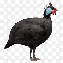 水彩画 油漆 湿墨水-空若网 水彩画 油漆 湿墨水-空若网