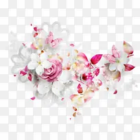 �� ��ɫ ����-������