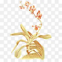 ��ͨ ����ֲ�� ��-������