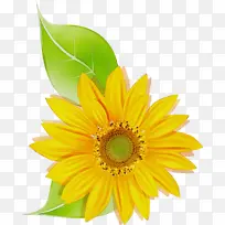 ˮ�ʻ� ���� ʪī-������