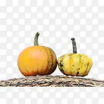 ����ֲ�� ֲ�� ��-������